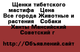 Щенки тибетского мастифа › Цена ­ 80 - Все города Животные и растения » Собаки   . Ханты-Мансийский,Советский г.
